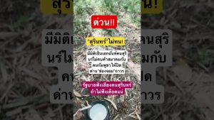 Duet Électro : Remix Bamboo1 et Nouvelles du Cinéma