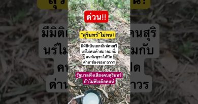 Duet Électro : Remix Bamboo1 et Nouvelles du Cinéma