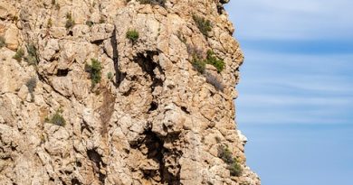 Corse, Ajaccio, Bastia, mountain, beach, sea, cliff, village, maquis, landscape
