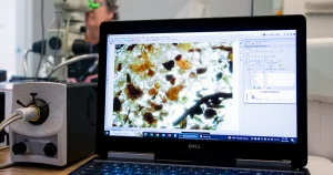 Eau, air intérieur, alimentation : 7 gestes pour réduire l’exposition aux microplastiques