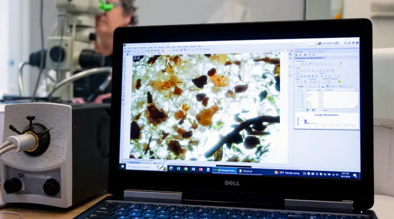 Eau, air intérieur, alimentation : 7 gestes pour réduire l’exposition aux microplastiques