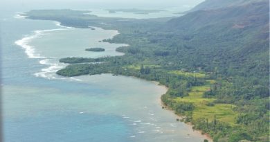 Écobuage mal maîtrisé : un homme brûlé aux jambes à Yaté