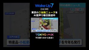 Édition du 10 novembre : Actualités d'Edo de Tokyo