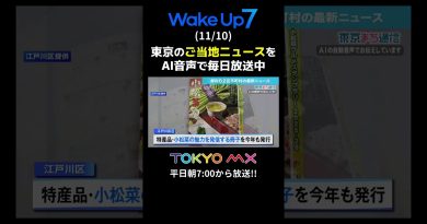 Édition du 10 novembre : Actualités d'Edo de Tokyo