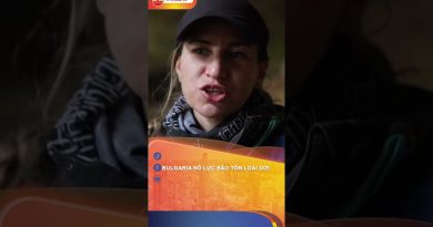 Efforts de la Bulgarie pour préserver les chauves-souris