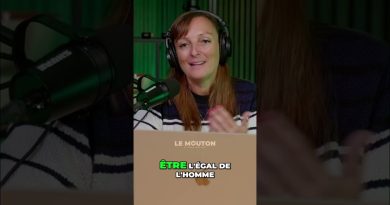 Égalité ou Équité : Comprendre les Différences au Travail