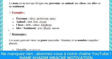 Éléments Clés de la Langue Française : Noms, Verbes, Adjectifs