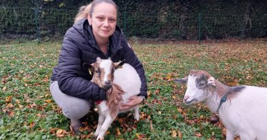 Éleveuse de chèvres miniatures dans cette commune de l'Oise, Gwendoline Cocagne organise un marché de Noël