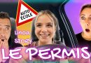 Elle décroche son permis avec surprise et humour !