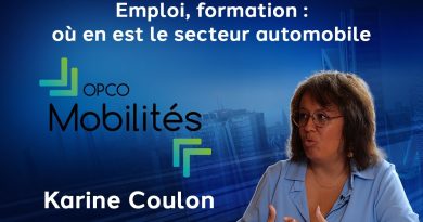 Emploi et formation : État des lieux du secteur automobile