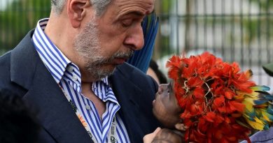 En Amazonie, le monde se contente d'une preuve de vie de la coopération climatique