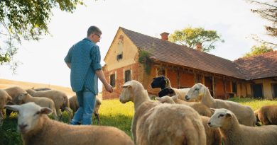 En Dordogne une ferme ferme d’ovins et de porcs fermiers cherche un associé H/F - ICI
