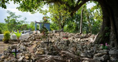 En Guadeloupe, les cimetières privés et familiaux, une tradition sous contrainte