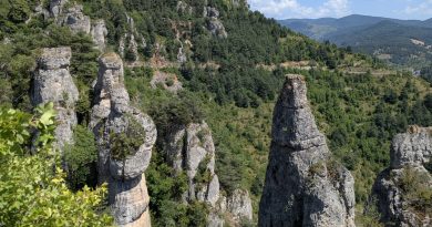 En bref en Lozère : le film de Benoit Colomb projeté à Saint-Étienne-du-Valdonnez, un atelier autour du bien vieillir, une bourse aux jouets à La Canourgue