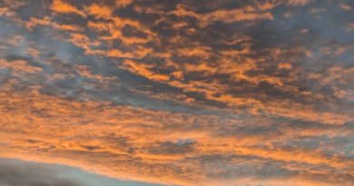 En images. En novembre, vos plus belles photos du jour