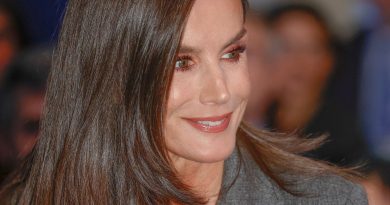 La reine Letizia d'Espagne en tailleur gris et mocassins en cuir : un look automnal chic