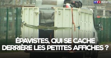 Enquête : Qui sont les épavistes derrière les affiches ?