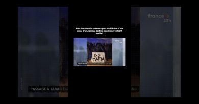 Enquête ouverte sur la vidéo de passage à tabac de DZ Mafia