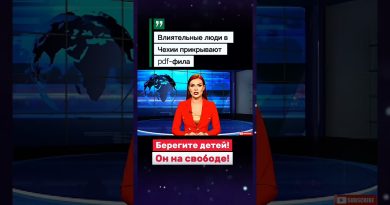 Enquête sur l'impunité et les liens politiques en Tchéquie