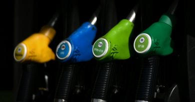 Entente sur les carburants en Corse: le gouvernement espère "une baisse des prix" après la sanction