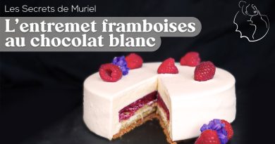 Entremet aux framboises et chocolat blanc