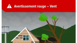 Dessin montrant une maison endommagée, un arbre déraciné et une voiture.