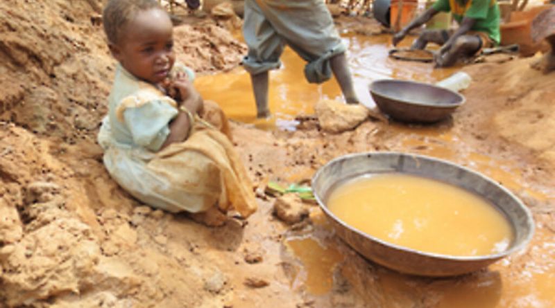 Environnement: timides avancées dans la lutte contre la pollution au mercure
