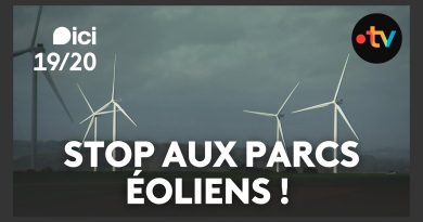 Éoliennes en Sarthe : les élus réclament une suspension