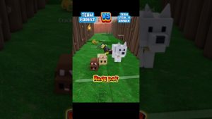 Équipe Forêt contre Équipe Jardin Volé | Course Animale