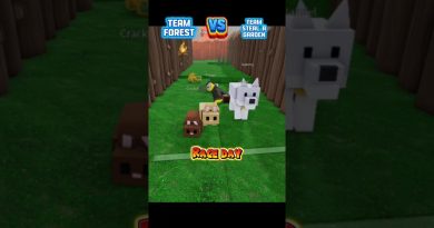 Équipe Forêt contre Équipe Jardin Volé | Course Animale