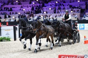 Equita Lyon 2025. Le salon du cheval veut sauter sur l’occasion -
