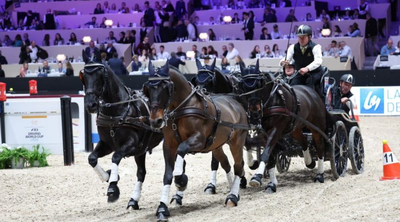 Equita Lyon 2025. Le salon du cheval veut sauter sur l’occasion -