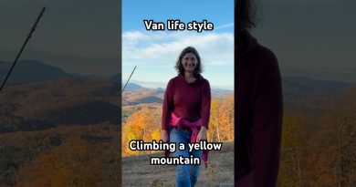 Escalade au cœur des feuillages dorés