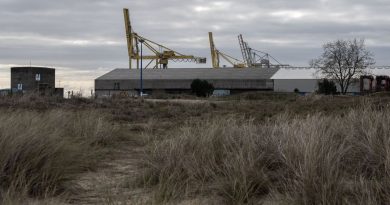 Esther Dufaure, de l'ONG Seastemik, opposante au projet Pure Salmon au Verdon-sur-Mer - ICI