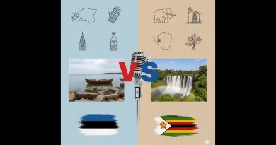 Estonie vs. Zimbabwe : L'ère numérique face à l'hyperinflation