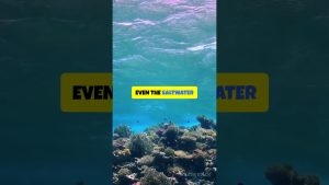 Et si l'eau existait avant la Terre ? Une vérité cosmique !