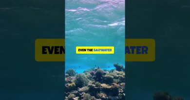 Et si l'eau existait avant la Terre ? Une vérité cosmique !