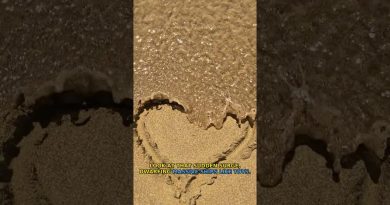 Et si les vagues océaniques devenaient gigantesques ? 😱