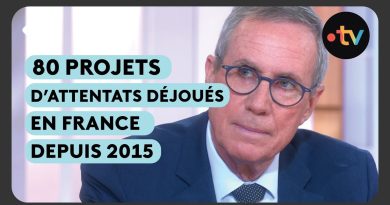 État actuel de la menace terroriste en France