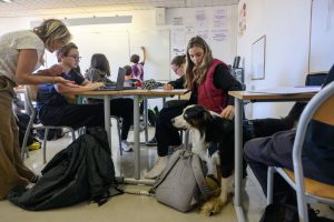 Un chien "bien-être" dans les classes du collège Lakanal à Aubagne