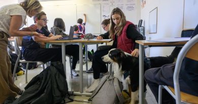 Un chien "bien-être" dans les classes du collège Lakanal à Aubagne