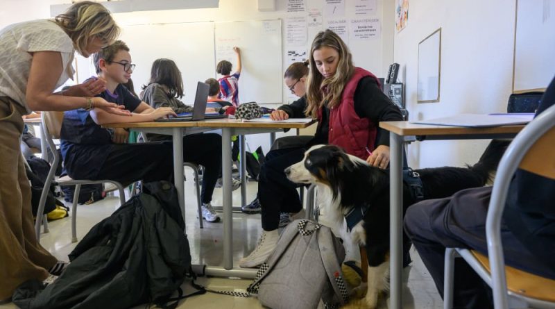 Un chien "bien-être" dans les classes du collège Lakanal à Aubagne
