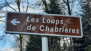 Eve El Houari, du parc des Monts de Guéret : "Nous sommes la solution de secours pour certains animaux sauvages" - ICI