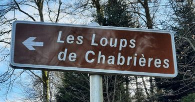 Eve El Houari, du parc des Monts de Guéret : "Nous sommes la solution de secours pour certains animaux sauvages" - ICI