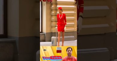 Évolution de la Mode des Hôtesses de l'Air en Altitude