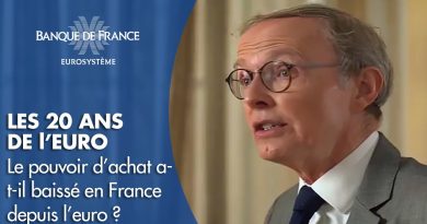 Évolution du pouvoir d'achat en France depuis l'euro