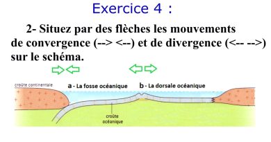 Exercices sur la Tectonique des Plaques