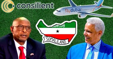 Expertise sur le projet Xalane à Hargeysa et les défis de l'e-Visa