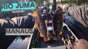 Exploration du Cardume de Tucunaré au Rio Juma - Partie 2