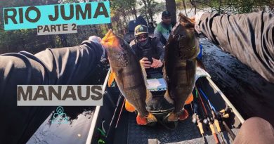 Exploration du Cardume de Tucunaré au Rio Juma - Partie 2